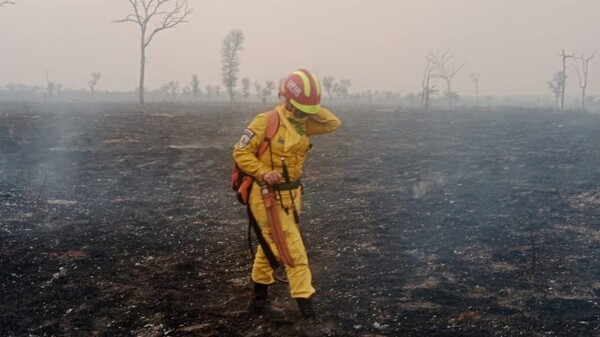 Se reaviva el incendio en Cerro Chovoreca - ADN Digital