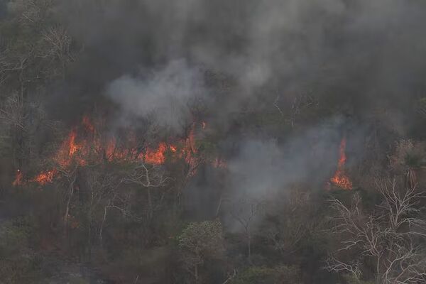 Bomberos trabajan en nuevo foco de incendio en Chovoreca: Milicos y SEN reforzarán