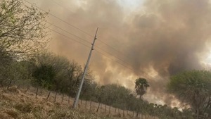 Dueños de estancias deben declarar mañana por incendios en el Chaco - ADN Digital