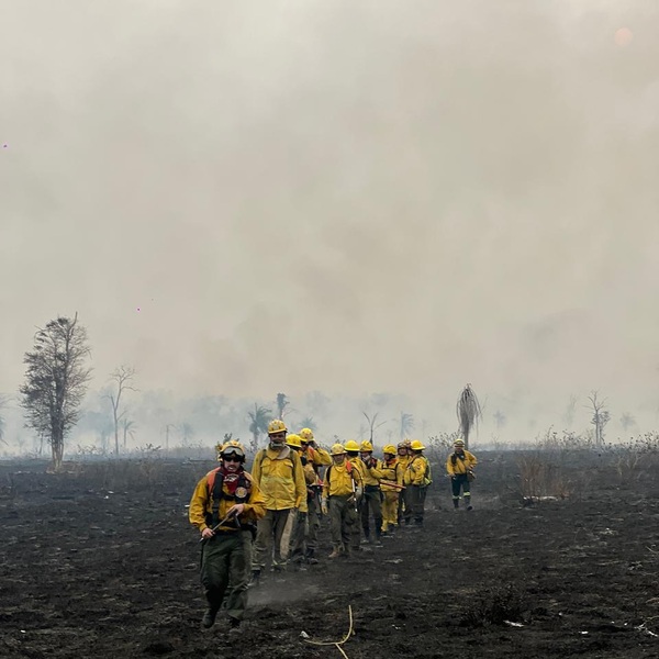 Se registran nuevos incendios forestales en zona de Chovoreca - trece