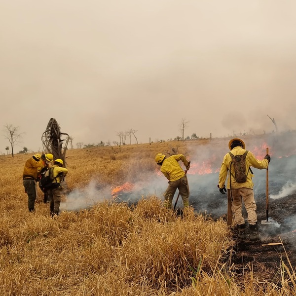 Reportan nuevos focos de incendios en zona de Chovoreca - Unicanal