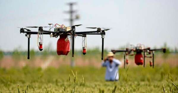 Diario HOY | Ingeniero agrónomo: motor del crecimiento económico y seguridad alimentaria