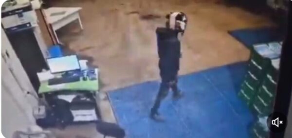 (VIDEO) Ladrones violentos pelaron distribuidora en CDE
