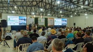 Híbridos de sorgo de Nuseed se destacaron en resultados de ensayos en el Chaco