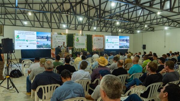 Híbridos de sorgo de Nuseed se destacaron en resultados de ensayos en el Chaco