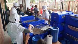 Hambre Cero: 300.000 estudiantes seguirán sin alimentación escolar en el 2025 - Nacionales - ABC Color