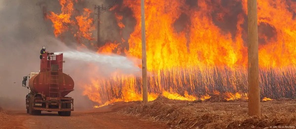 Bomberos luchan con incendio en reserva natural de Brasilia - ADN Digital