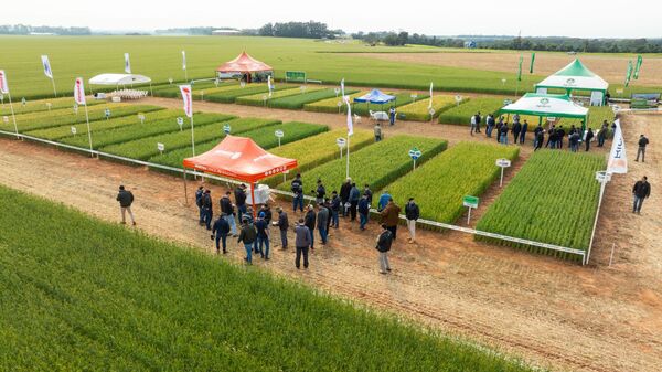 BIOTRIGO destacó seis variedades en el Día de Campo de trigo de SEM AGRO