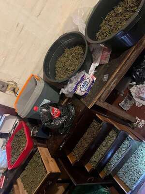 Incautan marihuana VIP y detienen a dos personas en barrio Santa María de Asunción - Policiales - ABC Color