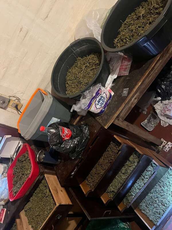 Incautan marihuana VIP y detienen a dos personas en barrio Santa María de Asunción - Policiales - ABC Color