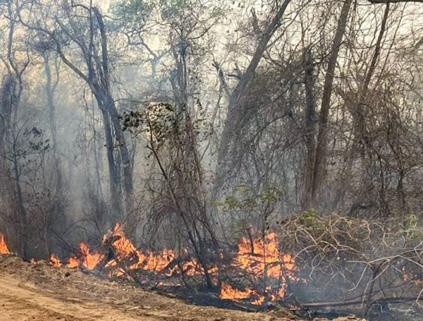 Multarán a dueños estancias que iniciaron fuego en el Chaco con 10 mil a 20 mil jornales