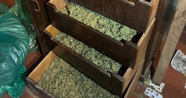 Diario HOY | Desbaratan red de microtráfico en Asunción: incautan varios kilos de marihuana VIP