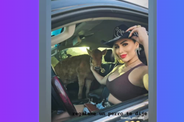 Hernán Pérez a su esposa: “Regalame un perro, te dije”