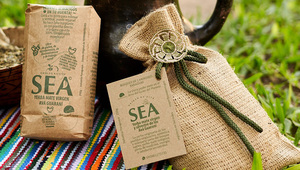 SEA, la yerba mate virgen paraguaya que prevé su primer envío a Alemania (producida por comunidades indígenas)