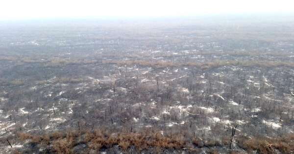 La Nación / Reportan nuevo incendio en la zona de Chovoreca