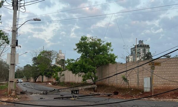 Varias columnas caídas en CDE