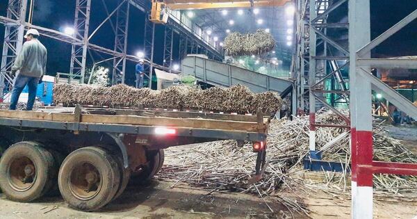 La Nación / Ley de biocombustibles: “Dinamizará el sector y hará que el mercado sea previsible”
