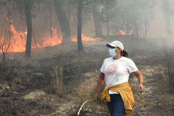 Portugal sigue el combate contra la ola de incendios y se suman militares españoles - Mundo - ABC Color