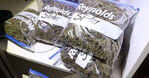 Diario HOY | Marihuana vip: en Paraguay 7 millones por kilo, en Brasil G. 30 millones