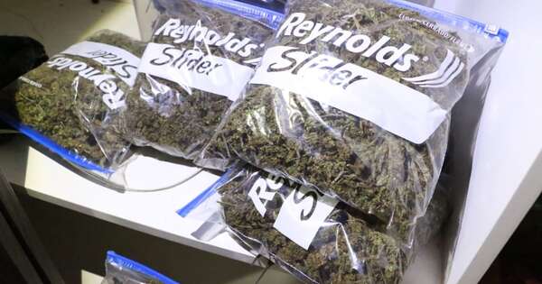 Diario HOY | Marihuana vip: en Paraguay 7 millones por kilo, en Brasil G. 30 millones
