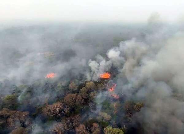 Incendio en Chovoreca, “controlado” por la naturaleza: bomberos buscan llegar a zona del fuego - Nacionales - ABC Color