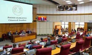Veto a un artículo de la ley de Adultos Mayores, ley vuelve al Senado – Prensa 5