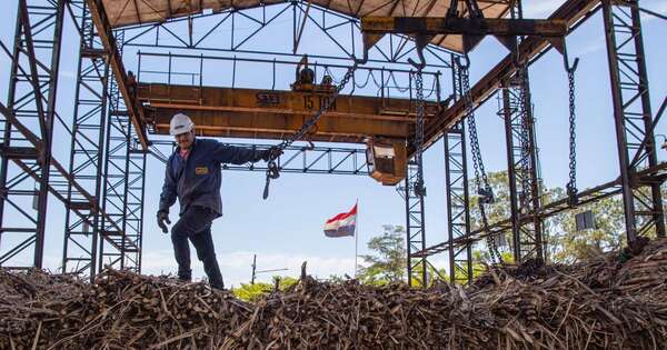 La Nación / Ley de biocombustibles: con modificación cañicultores podrán proveer todo el año su producto