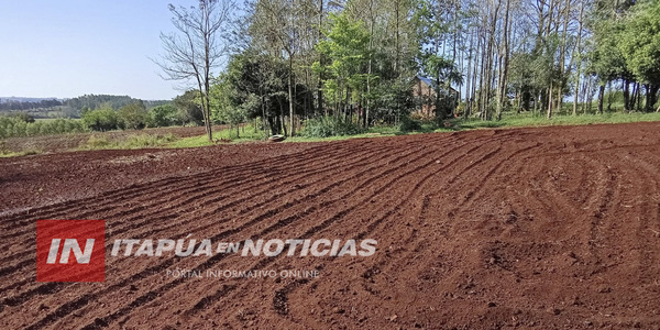 LA PAZ IMPULSA PRODUCCIÓN HORTÍCOLA CON PREPARACIÓN DE SUELO - Itapúa Noticias