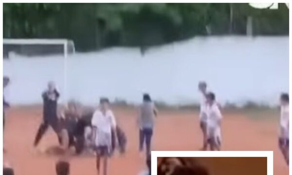 Detienen al que dio la patada mortal a peloterito de Nacional