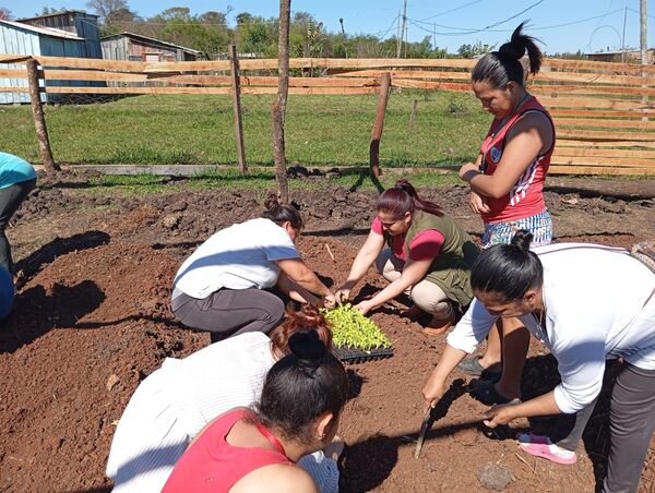 MADRES DE FAMILIA DEL PROG. TEKOPORÃ PROMUEVEN HUERTAS COMUNITARIAS - Itapúa Noticias