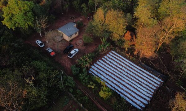 “Marihuanas Vip” fueron incautados en operativo “Turc”