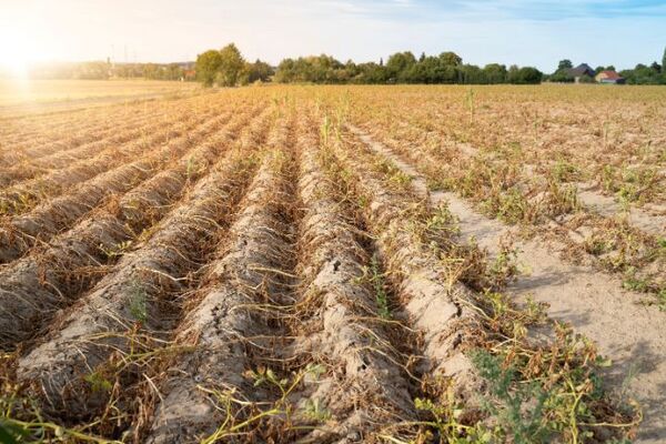 Crecen las probabilidades de presencia del fenómeno “La Niña” e instan a tomar medidas de contingencia - MarketData