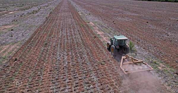 La Nación / Inbio proyecta que el nivel de precipitaciones mejoraría entre octubre y noviembre