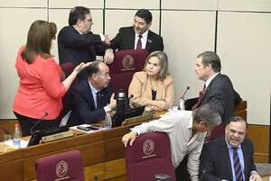 Por incidentada sesión del Senado, pensión a adultos mayores y ley de armas sigue sin definición - Política - ABC Color
