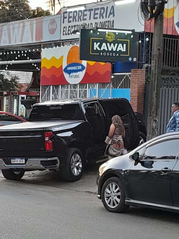 Bachi priorizó que lujosa camioneta sea usada por senadora liberocartista - Política - ABC Color