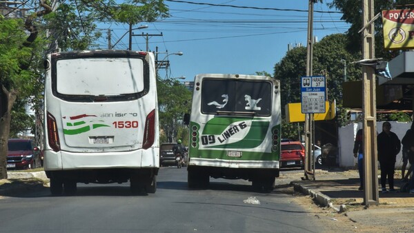 Reforma prevé reestructurar los itinerarios del transporte