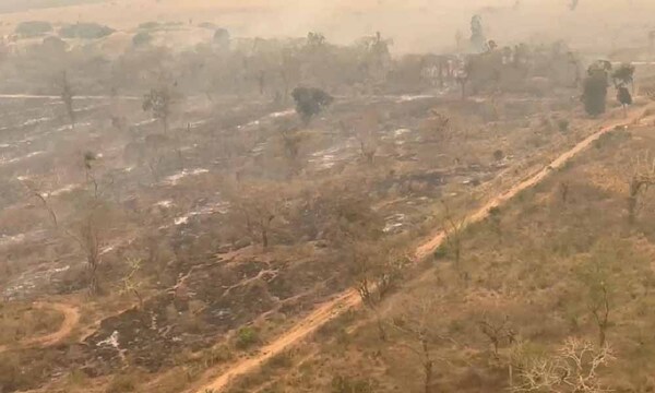 Fuego en Chovoreca arrasó con otras 20.000 hectáreas y las llamas siguen vivas – Prensa 5