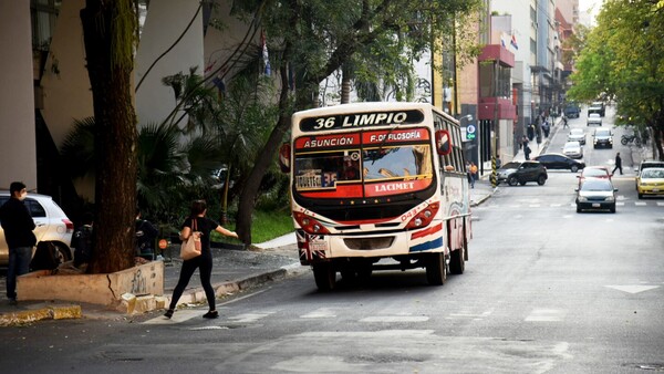 Proyecto de reforma del transporte público “sigue en construcción”, afirma viceministro