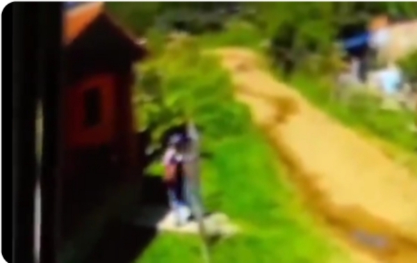 (VIDEO) Doña ingresó en pleno día a una casa y se llevó 2 palos