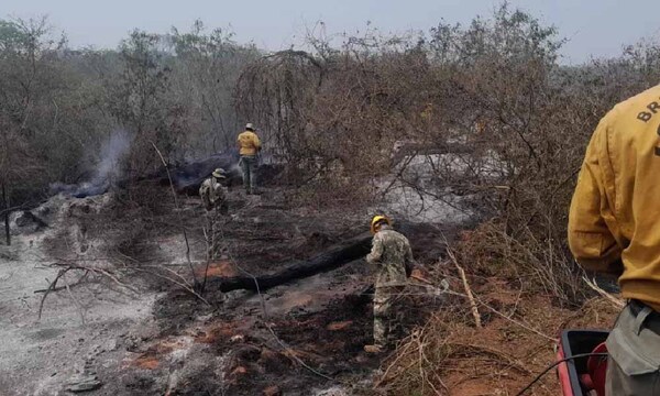 No se presentaron en la Fiscalía ganaderos investigados por incendio en Chovoreca – Prensa 5