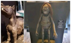 ¿Es una joda o no? ¡Desaparecieron criaturas mitológicas de un museo!