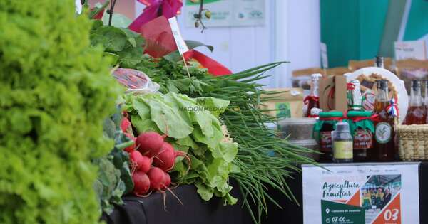 La Nación / MAG incorpora tecnología de alimentos para potenciar a la agricultura familiar