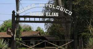 La Nación / Se llevaron figuras invaluables del museo mitológico de Capiatá