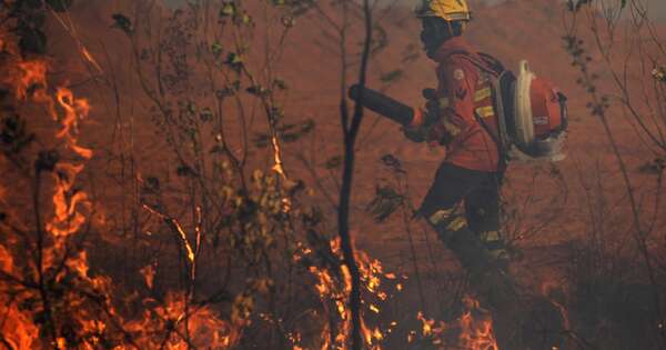 Diario HOY | Brasil enfrenta una alarmante crisis de megaincendios en la Amazonía