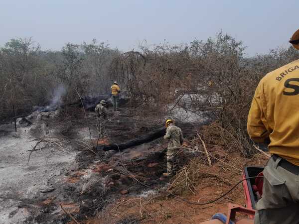 Los incendios en el Chaco han afectado ya 200.000 hectáreas, advierte la SEN
