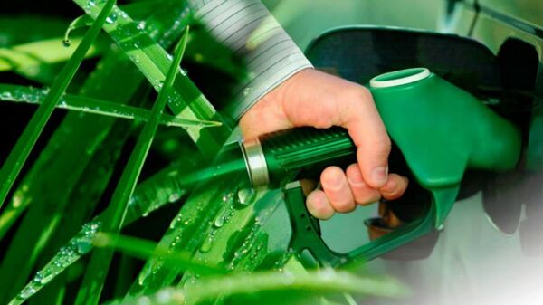Ley de fomento al biocombustible ¿En qué consisten las modificaciones que alientan a los cañicultores? - MarketData