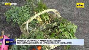 Yuyeros denuncian ser amedrentados por Dinavisa: esto dicen autoridades al respecto - ABC Noticias - ABC Color