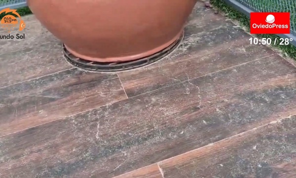 Vecinos del barrio 12 de Junio se quejan por contaminación de aserradero - OviedoPress