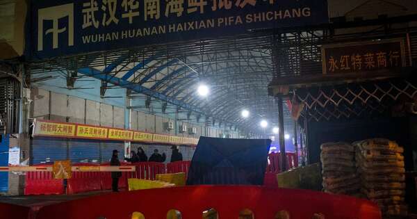 Diario HOY | Un estudio refuerza la hipótesis de que el covid-19 surgió en un mercado de Wuhan