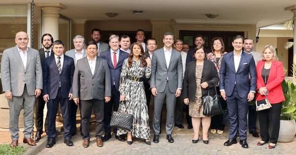 La Nación / Senador destaca visión futurista de Peña y aconseja a sus colegas dejar los “berrinches”